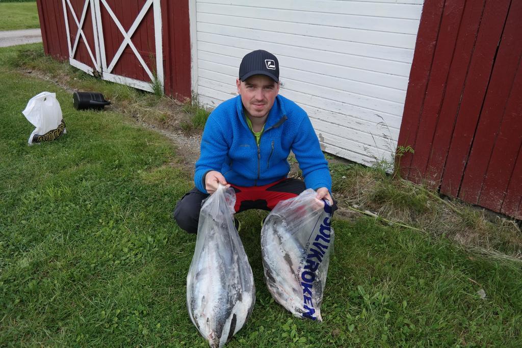 Holmset Camping And Fishing Namdalseid Buitenkant foto